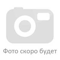 Карандаш автоматический 0,7 мм с рез.покр. NIXON - канцтовары в Минске